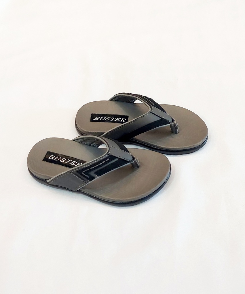 BSX-079-2